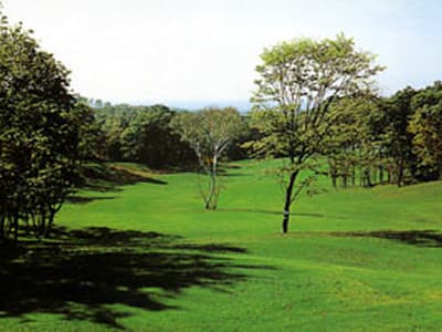 エムズゴルフクラブ