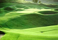 ＰＧＭマリアゴルフリンクス【ＧＲＡＮＤ ＰＧＭ】