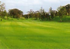 グレートアイランド倶楽部