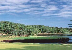 ＰＧＭ総成ゴルフクラブ【ＧＲＡＮＤ ＰＧＭ】