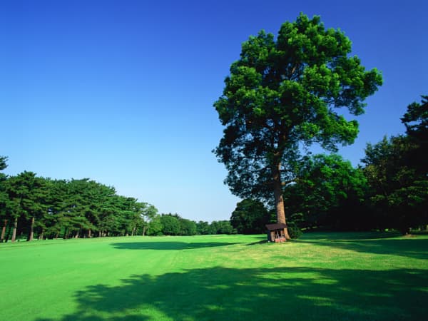 中山カントリ一クラブ（使用不可）