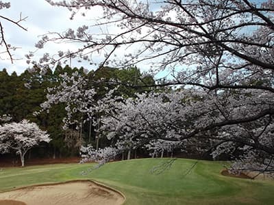 空港ゴルフコース 成田【アコーディア・ゴルフ】
