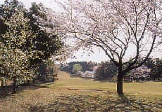 藤ケ谷カントリークラブ