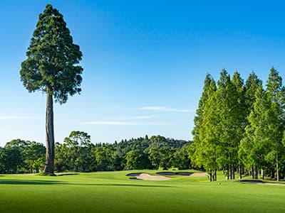 真名カントリークラブ 真名コース