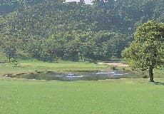 東京ロイヤルゴルフ倶楽部（旧・大相模カントリークラブ)