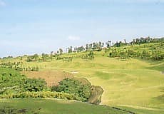 チェックメイトカントリークラブ