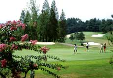 ＰＧＭ池田カントリークラブ【ＰＧＭ】