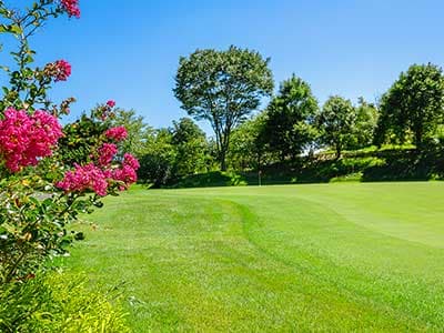 【レッスン】千葉バーディクラブ ジェフ山口（千葉）