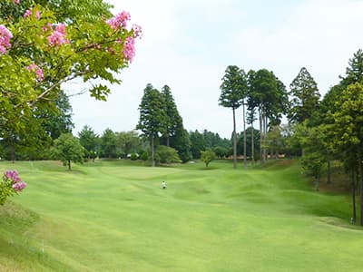 ダイナミックゴルフ成田