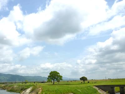 嘉瀬川リバーサイドゴルフ場