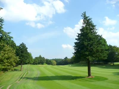 ダイヤグリーン倶楽部