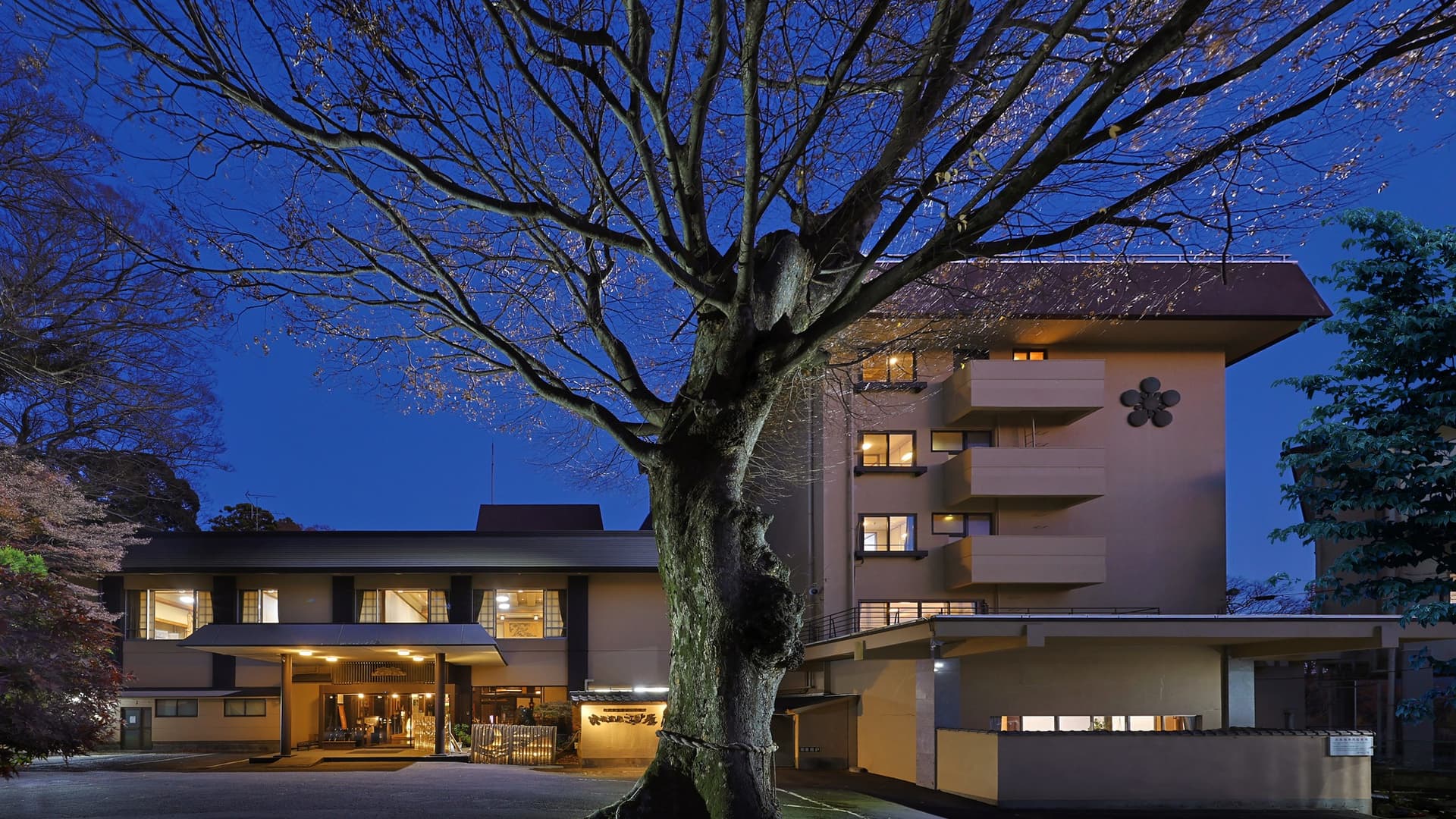 筑波山温泉　筑波山江戸屋