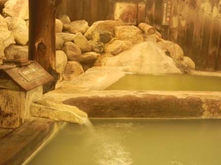 塩原元湯温泉　ゑびすや 2