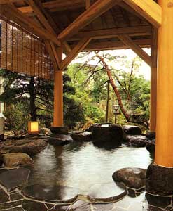 赤湯温泉　丹泉ホテル 2