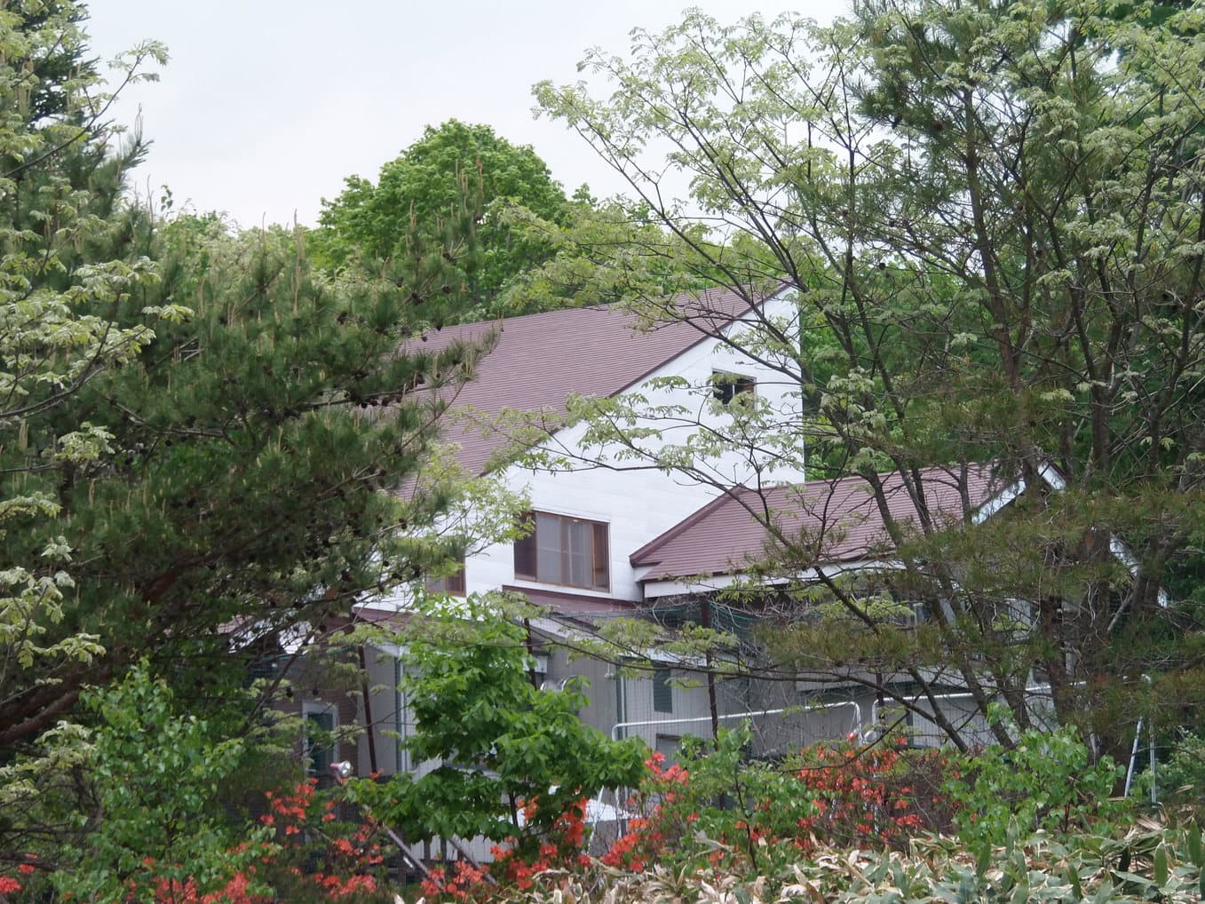 ペンション 白いつばさ