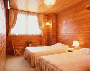 ペンション　バーデンハイム 2