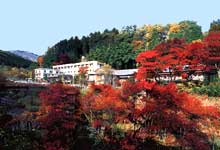 梨木温泉 梨木館