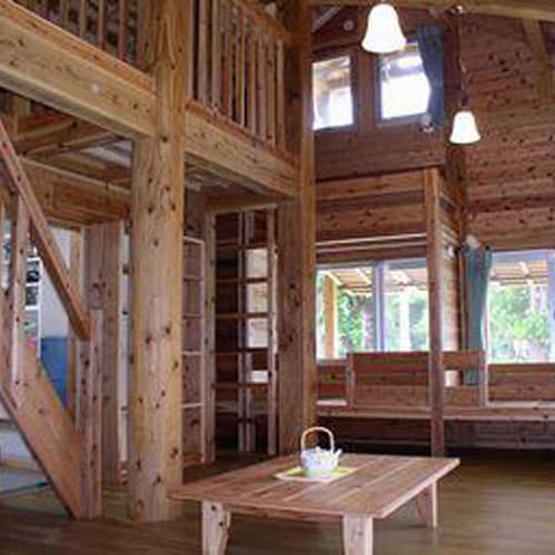 イルンティ　フタデムラ　＜西表島＞ 2