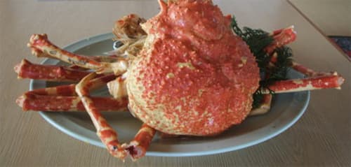 磯の宿　民宿　峯松（みねまつ） 2