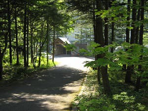 風木立の川辺　紫明館 2