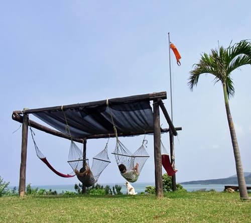 西表島モンスーン　＜西表島＞ 2