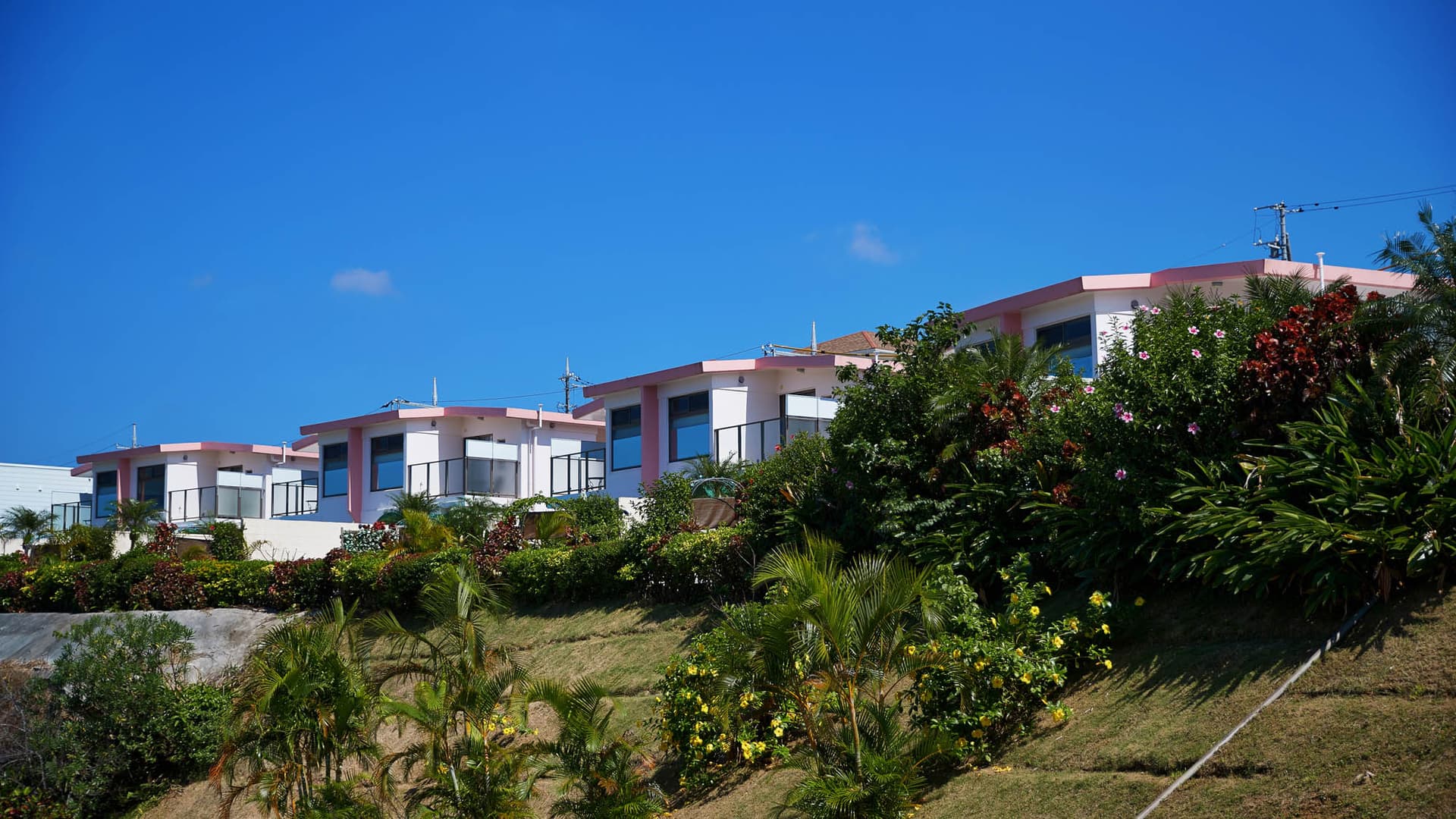 アルファテラスモトブヒルズ