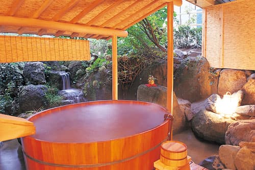 越後湯沢温泉　湯沢ホテル 2