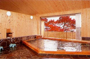 源泉かけ流しの宿　塩原温泉ホテルおおるり 2