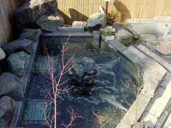 ペットと一緒に泊まれる宿　ペンション薔薇の詩 2