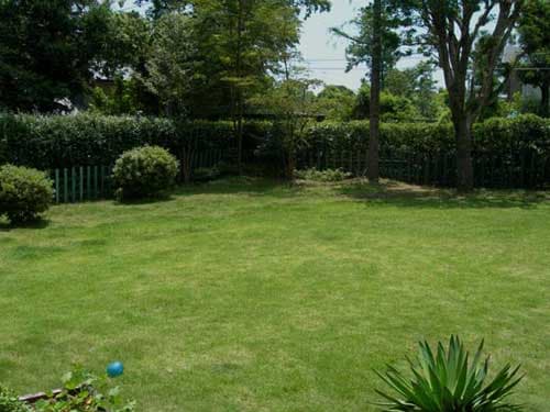 癒やしのわんこ宿　にこまめち 2