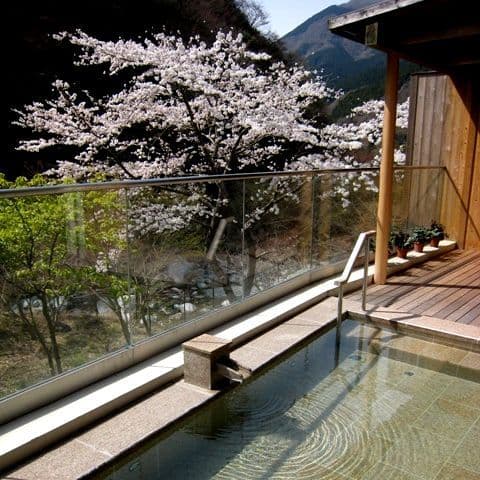 中川温泉　信玄館 2