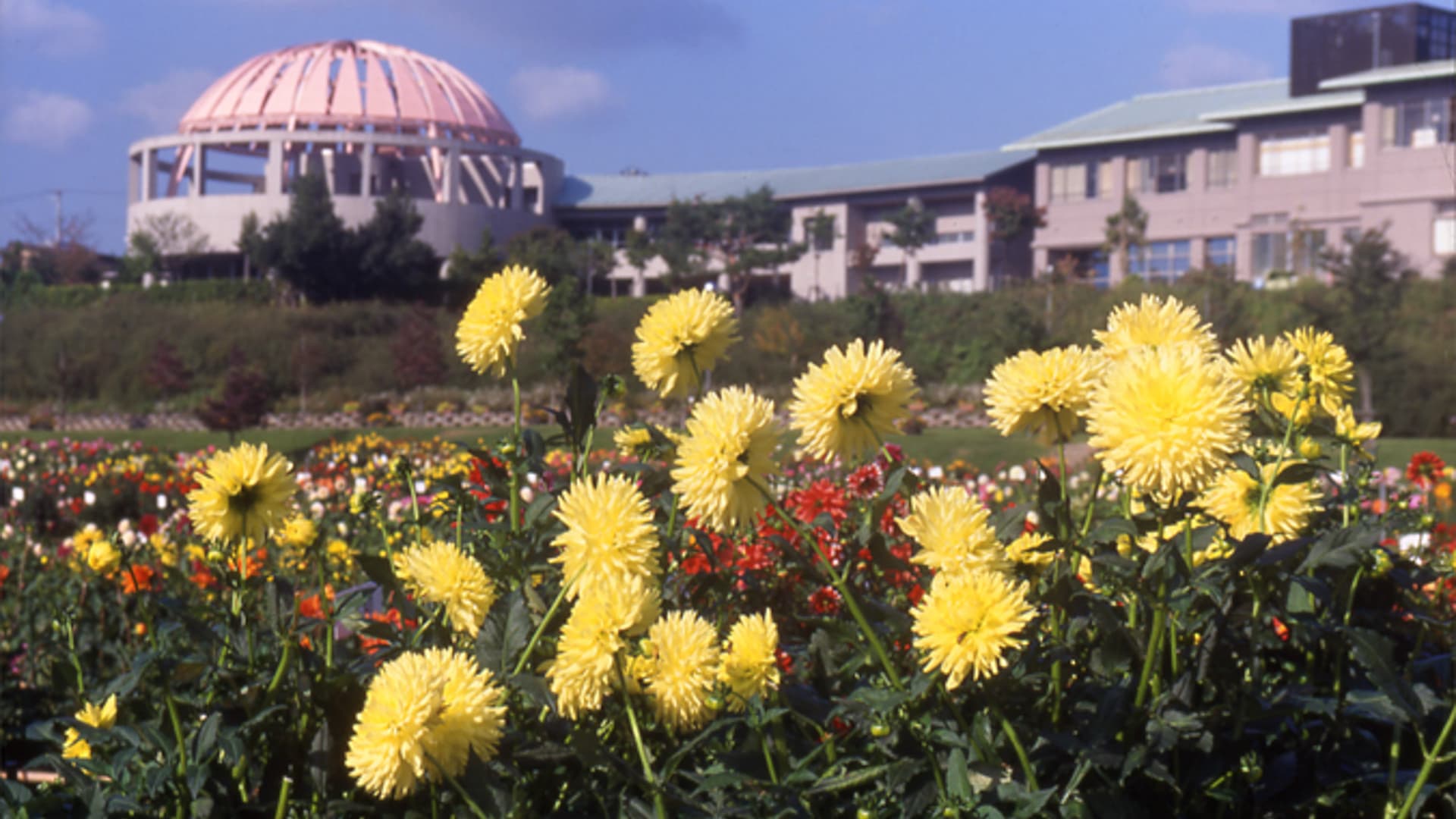 川西温泉 川西町浴浴センターまどか