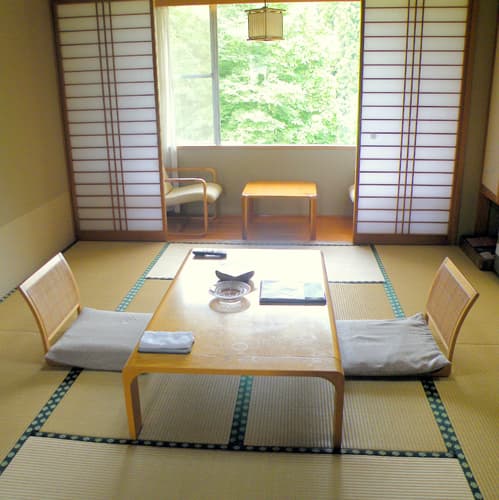 温泉健康保養センターロータスイン 2