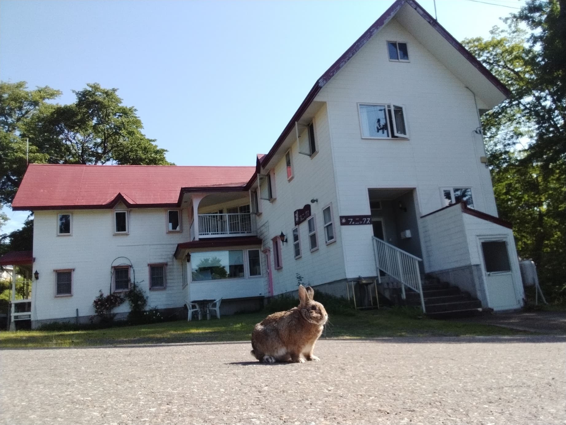 ペンション　フェニックス