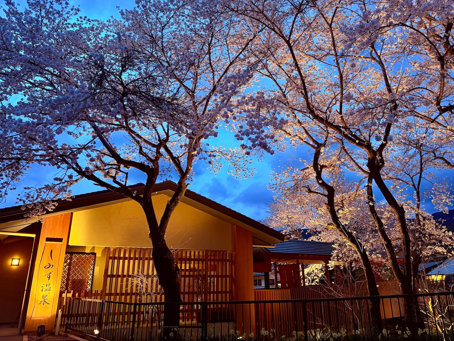 しみず温泉あさぎり