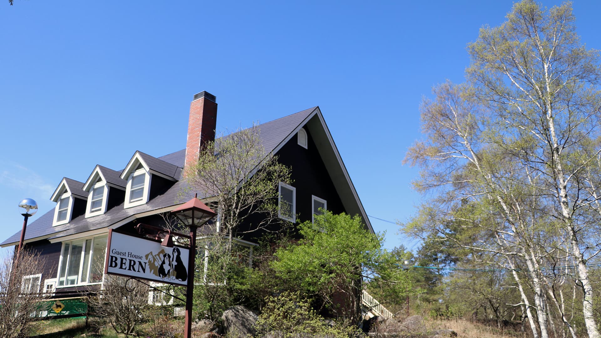 ぺットと泊まれる宿 ゲストハウス ベルン