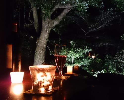 屋久島雫ノ杜　＜屋久島＞ 2