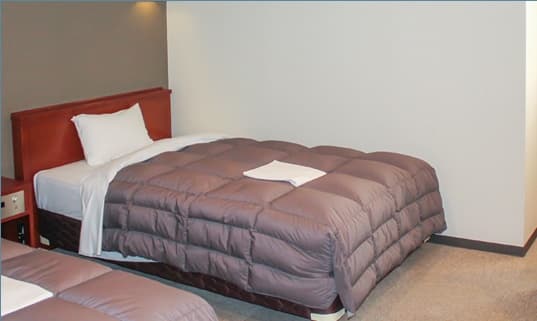 ホテルリブマックスＢＵＤＧＥＴ浜松駅前 2