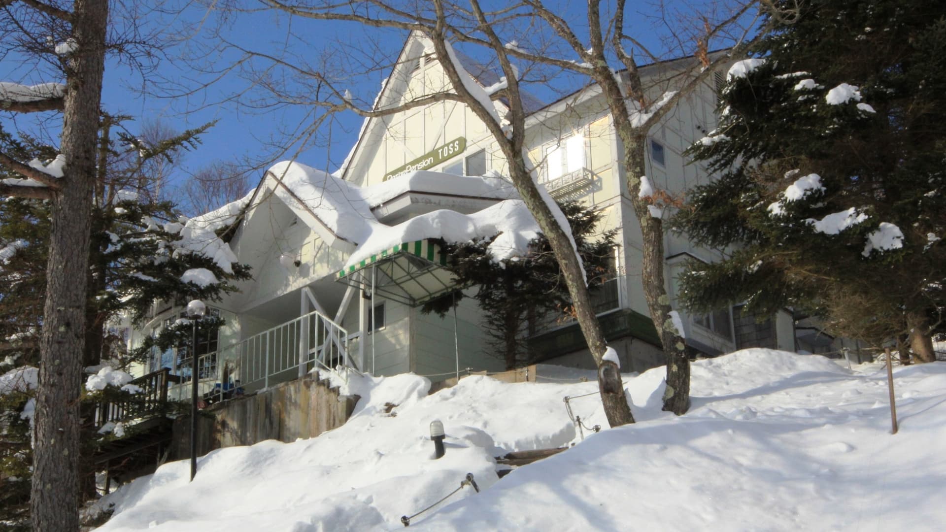 Ｅｃｏ─Ｓｔａｙ　ＴＯＳＳ