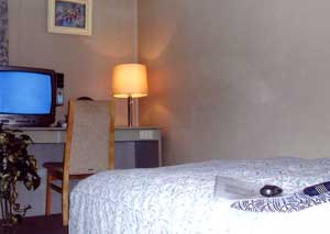 ビジネスイン　たけのや 2