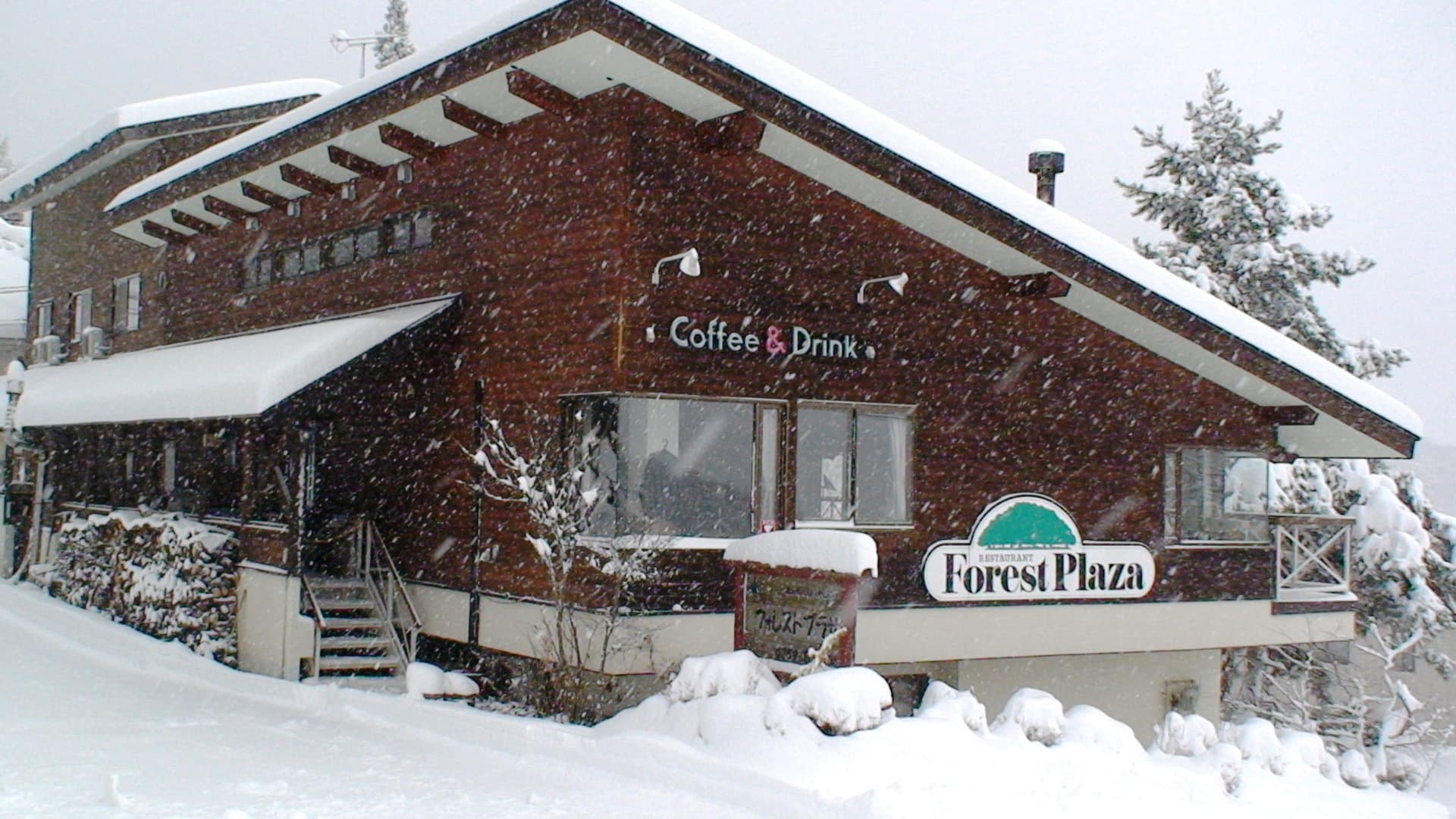 フォレストプラザ