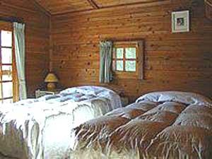 ペンション・ハーフトーン 2