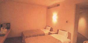 天然温泉ホテルリブマックスＢＵＤＧＥＴ甲府 2