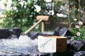 八尾ゆめの森　ゆうゆう館 2