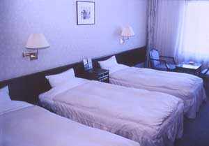 富良野リゾートホテル　エーデルヴェルメ 2