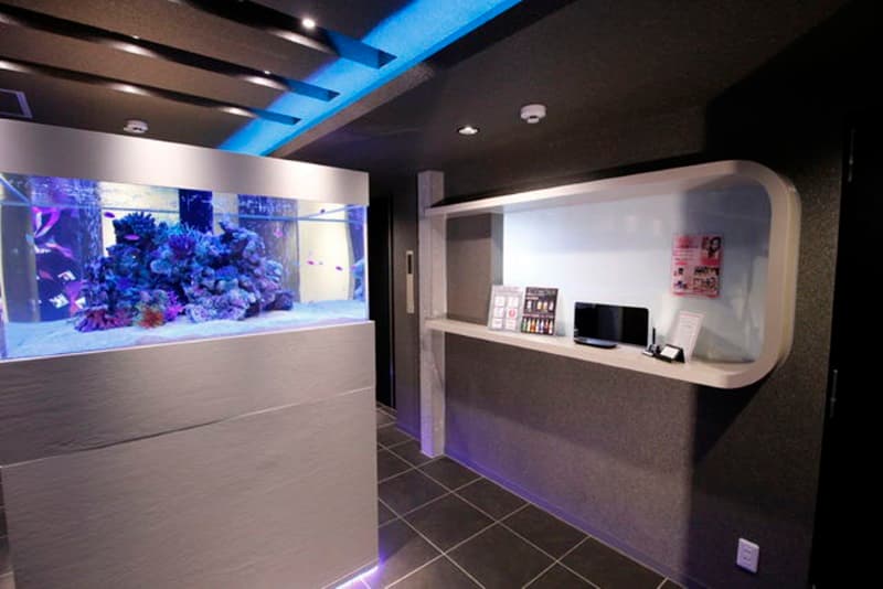 ＨＯＴＥＬ　ＴＨＥ　ＨＯＴＥＬ【大人専用１８禁・ハピホテ提携】 2