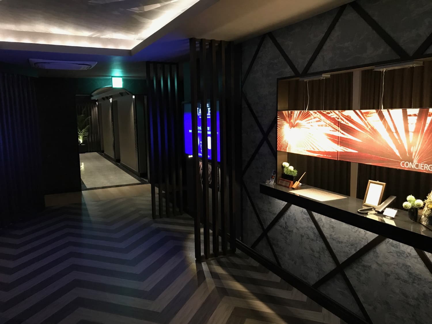 ＨＯＴＥＬ　ＡＩＬＥ　佐野【大人専用１８禁・ハピホテ提携】 2