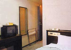 ビジネスグリーンホテル日野 2