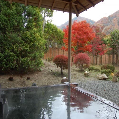 老神温泉　源泉湯の宿　紫翠亭 2