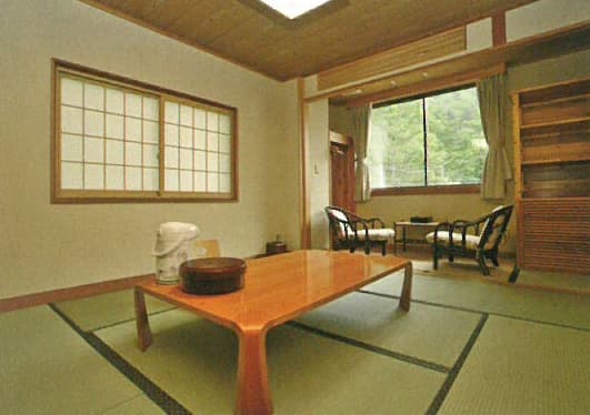 天然温泉にごり湯の宿　湯乃湖荘 2